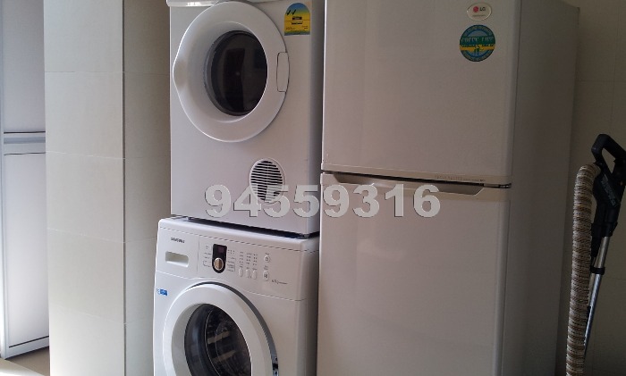 Pacific Mansion (Enbloc) (D9), Condominium #432432